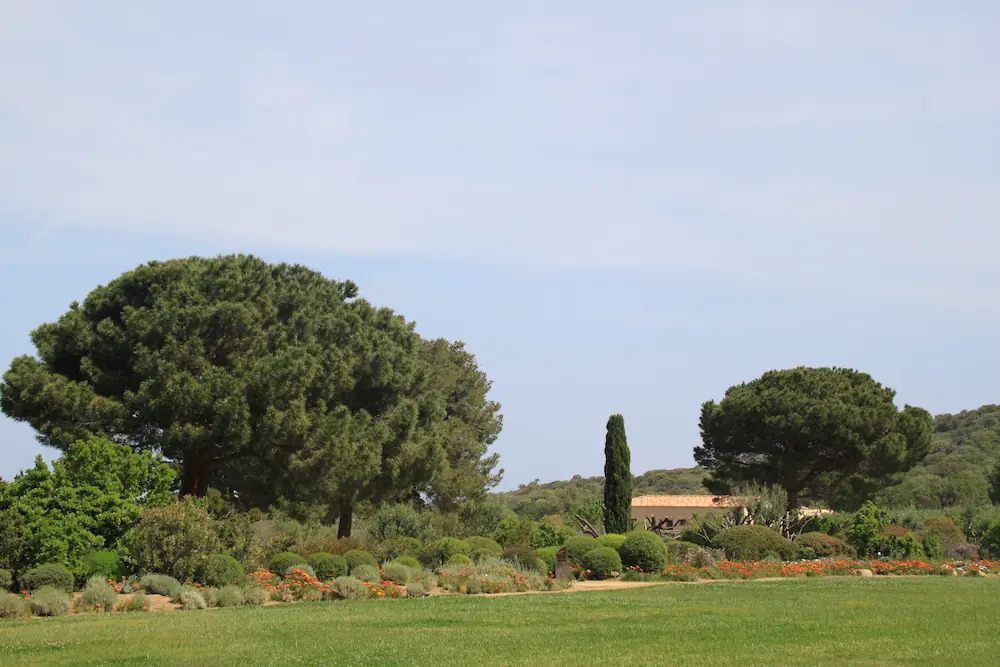Le Parc de Saleccia près de notre camping