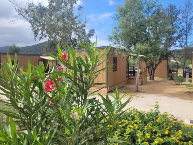 La'bel Balagne : 00001257721