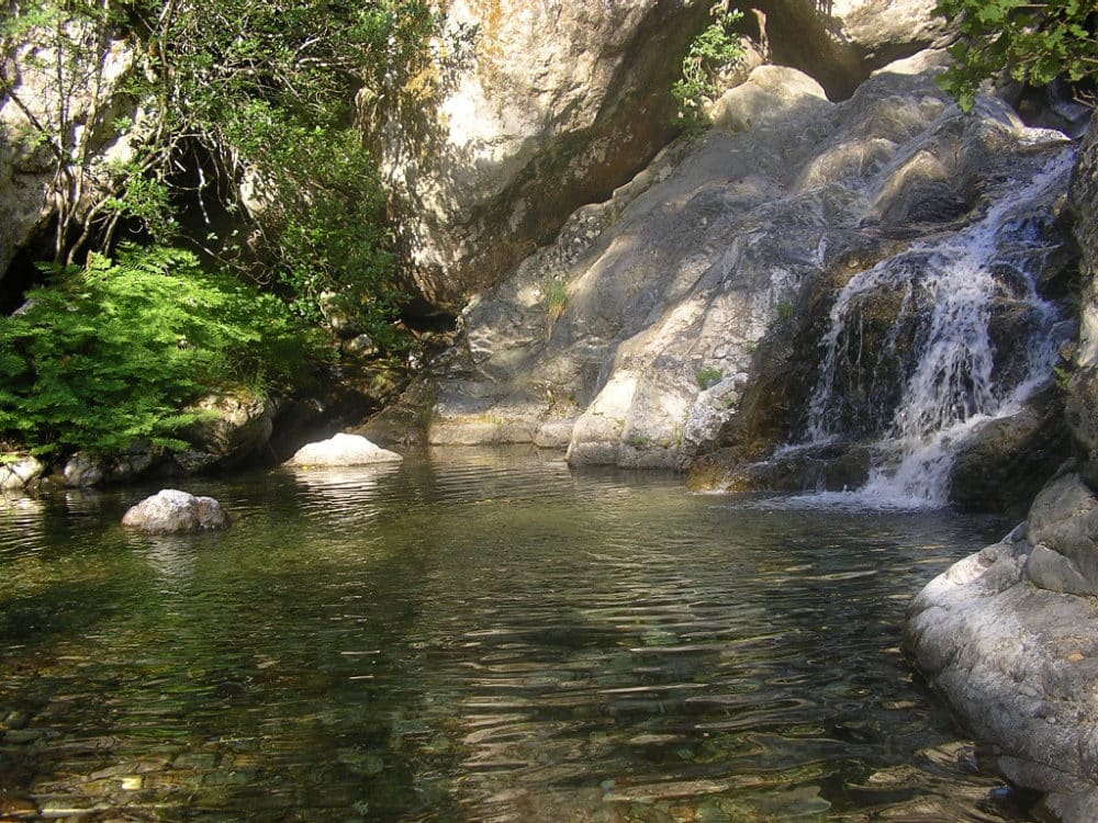La'bel Balagne : 2025 Tartajine