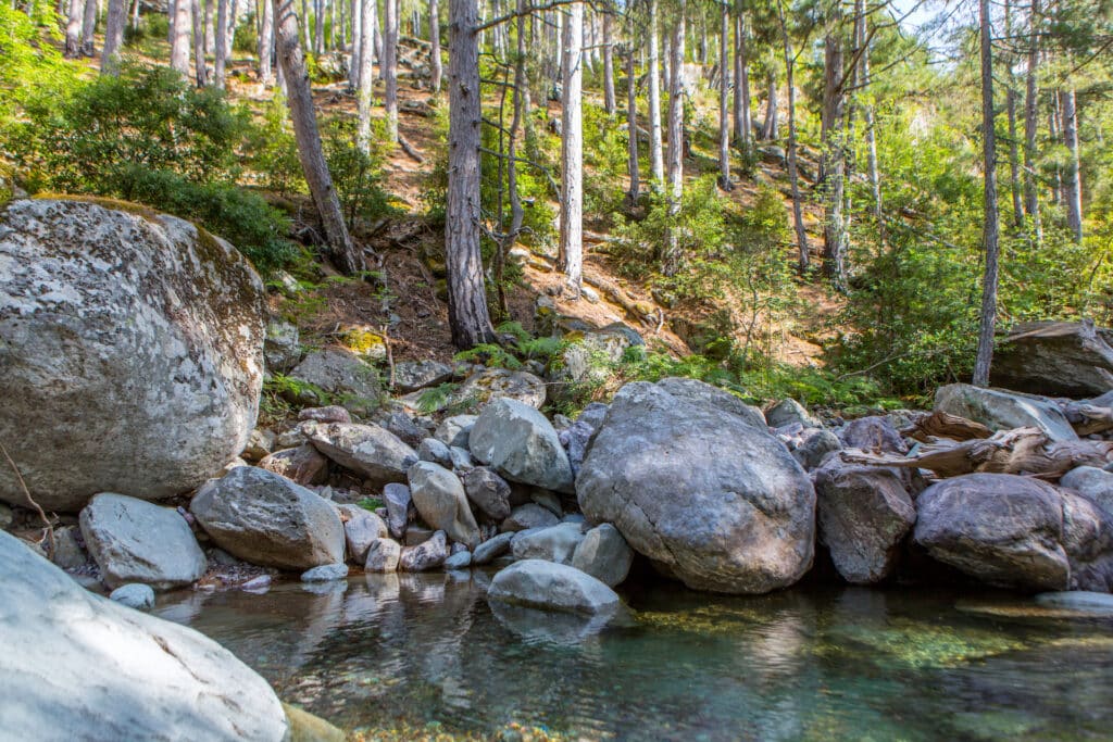 La'bel Balagne : 5060 O.gomez Tartagine